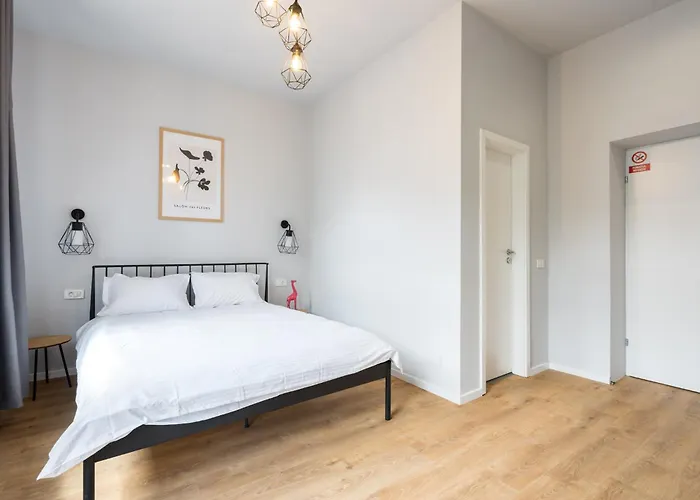 Cute Apartament Bucureşti