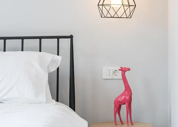 Cute 布加勒斯特