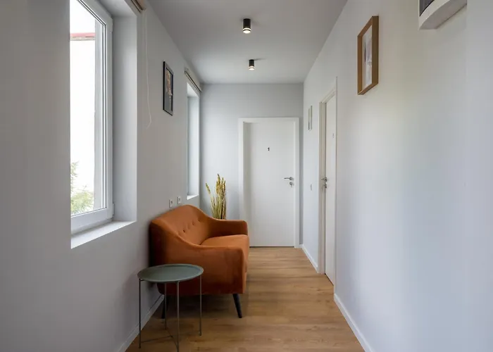 Cute 布加勒斯特